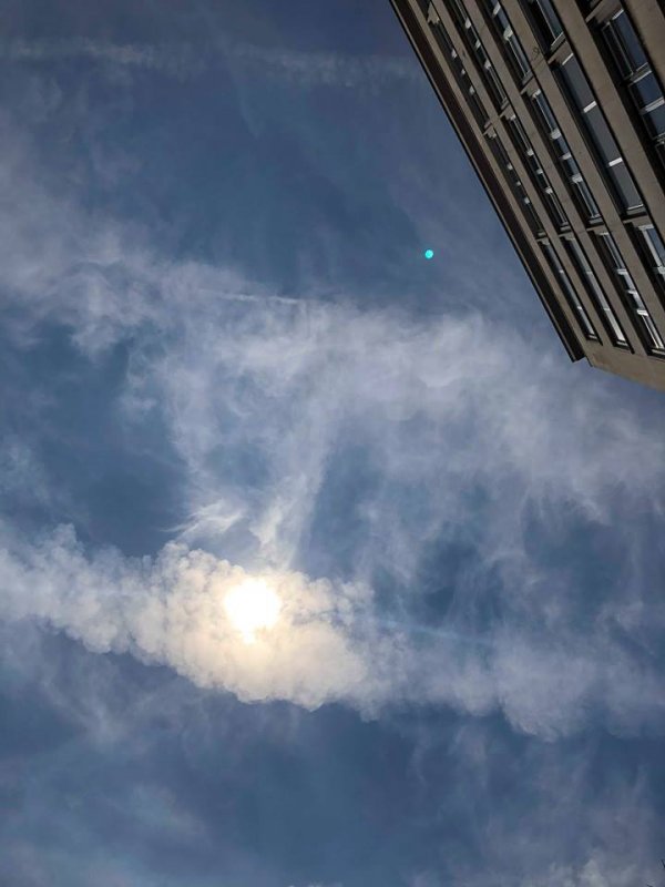 35806808-1814284811964906-3625914676656734208-n