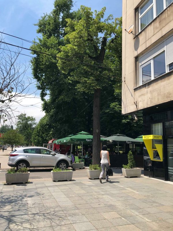 35882302-1814285138631540-828345770871619584-n