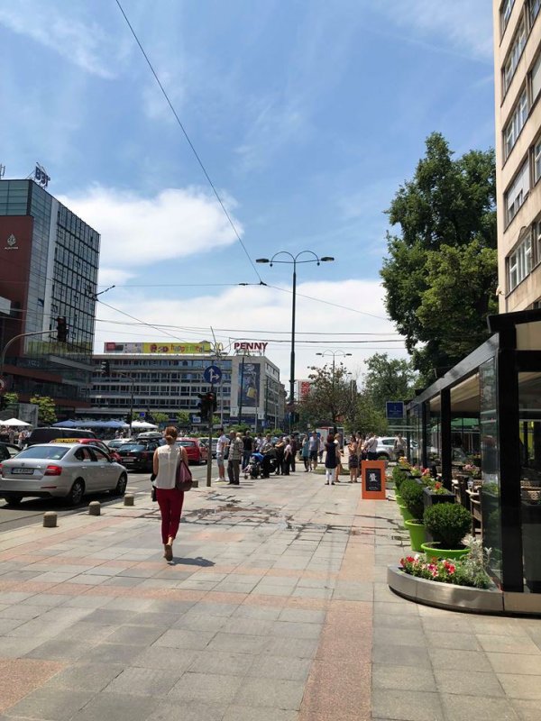 35943618-1814285178631536-3205149091583492096-n