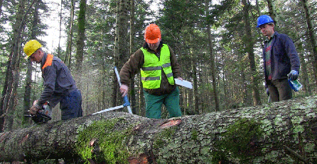 Sindikat tvrdi da se spremaju otkazi za oko 1.500 radnika 'Šuma RS'