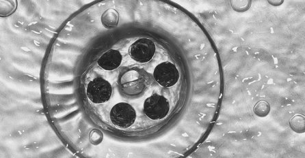 NI SLUČAJNO OVO NE BACAJTE U ODVOD: Za sat vremena će nabubriti i napraviti vam poplavu u kući!