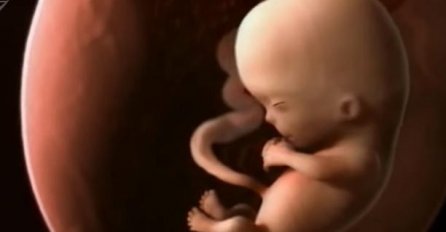Fascinantan snimak: 9 mjeseci trudnoće stalo je u 4 minuta