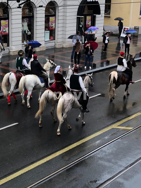 36234506-1823307954395925-7165911375825338368-n