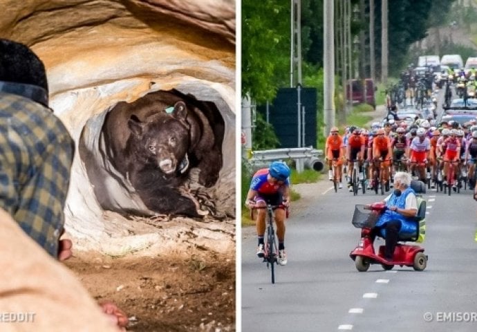 Posljednju ćete gledati u čudu: Ako mislite da ste imali loš dan OVE FOTOGRAFIJE morate vidjeti!