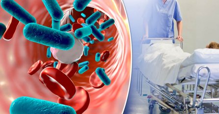 POPULARNI UGOSTITELJSKI OBJEKAT ZATVOREN! Jedanaest osoba HOSPITALIZOVANO zbog TROVANJA SALMONELOM!  Ako ste jeli ovdje zadnjih dana i osjećate bilo kakve tegobe obavezno se javite ljekaru