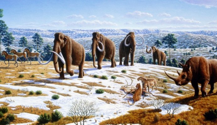 10761310-ice-age-fauna-of-northern-spain-mauricio-anton-1486460073-650-73ae4d25c0-1486711539