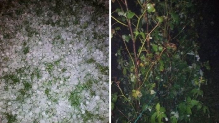 1530609863541-grad-gorobilje-pozegafotogzs-620x350