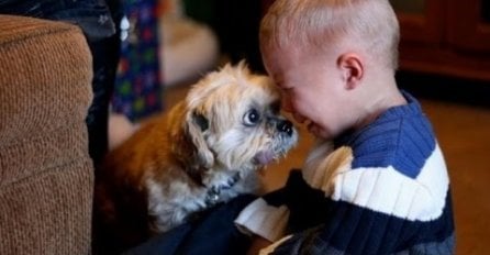 FOTOGRAFIJE KOJE DOKAZUJU DA BI SVAKO DIJETE TREBALO IMATI KUĆNOG LJUBIMCA: Rastopit ćete se kada vidite broj šest 