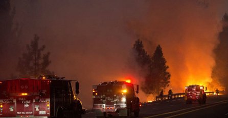 Rekordne vrućine izazvale požare u Kaliforniji, vatrogasci na terenu