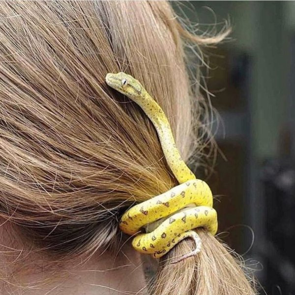 22148010-2-1522918467-728-68a7aed3de-1524732451