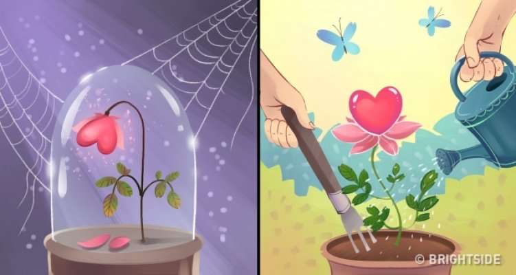 15854210-6965910-9-0-1503494430-1503494439-2500-1-1503494439-650-04f9ebaa03-1504614278