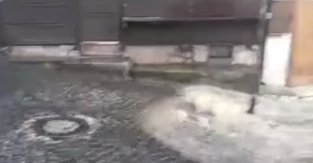 Svi su zgroženi: Fekalije i kanalizacione vode su poplavile glavnu ulicu