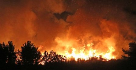CRNA GORA: IZBIO POŽAR U PARKU, gašenje otežava jak vjetar (VIDEO)