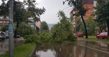 VELIKO NEVRIJEME POGODILO ZENICU: Vjetar čupao stabla, jaka kiša i led blokirali saobraćaj, pogledajte ove prizore 