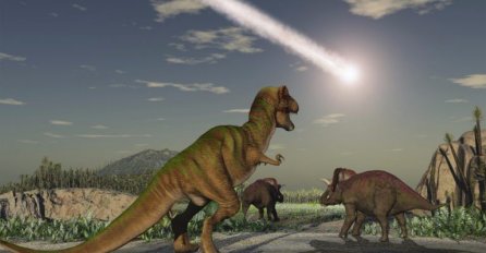 Šta se desilo dinosaurusima i da li znate da među nama hodaju njihovi nasljednici?