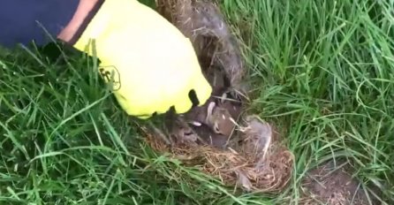 TRIK KOJI MORA DA ZNA SVAKI DOBAR I ISKUSAN BAŠTOVAN: Pospite samo 1 kap ovoga imat ćete BOGAT UROD, SVI ĆE DA VAM ZAVIDE!