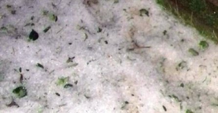NEZAPAMĆENO NEVRIJEME POGODILO SRBIJU: Padao grad veličine jajeta, vjetar rušio zidove i čupao drveće, svi usijevi UNIŠTENI 