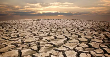 Najduža suša u posljednjih nekoliko decenija pogodila je Holandiju