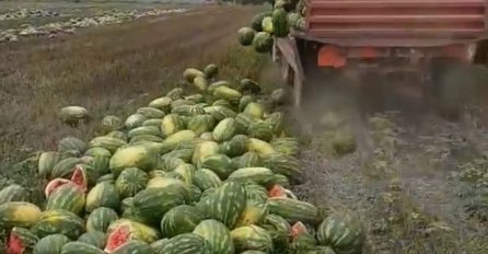 FACEBOOK GORI ZBOG OVOG SNIMKA IZ HRVATSKE: Mladi poljoprivrednik očitao lekciju cijelom BALKANU (VIDEO)