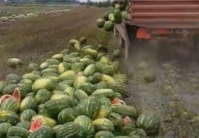 FACEBOOK GORI ZBOG OVOG SNIMKA IZ HRVATSKE: Mladi poljoprivrednik očitao lekciju cijelom BALKANU (VIDEO)