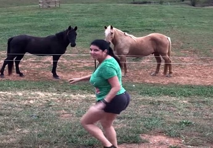 Snimao je svoju suprugu koja je krenula da pomiluje dva konja. Nakon onog što je uslijedilo, upiškila se u gaće! (VIDEO)