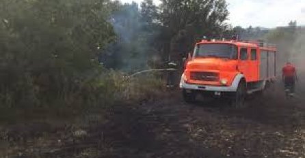 Požar kod Trebinja lokalizovan, vatrogasci će dežurati i tokom noći