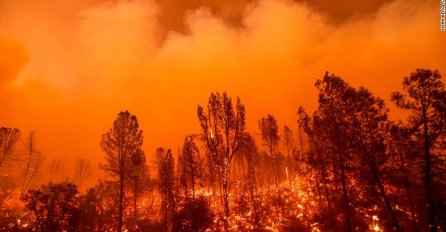 IZBILO 17 POŽARA, GUTAJU SVE PRED SOBOM: Proglašeno vanredno stanje, PRIZORI SU ZASTRAŠUJUĆI (FOTO)