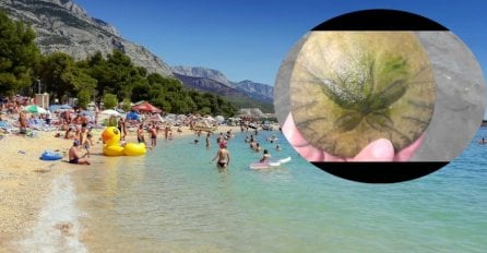 ZABRINUTA ŽENA OBJAVILA SLIKU SA PLAŽE, PAZITE DA NE NALETITE NA OVO: Neće vam biti svjedno kad čujete šta je! (FOTO)