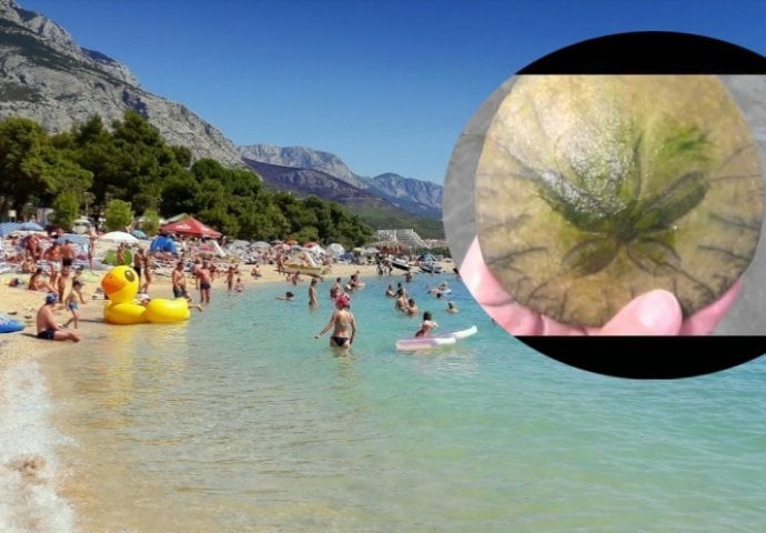 ZABRINUTA ŽENA OBJAVILA SLIKU SA PLAŽE, PAZITE DA NE NALETITE NA OVO: Neće vam biti svjedno kad čujete šta je! (FOTO)