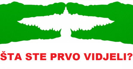 Šta ste vidjeli prvo PTICU ILI 2 KROKODILA? Evo šta to otkriva o vama!