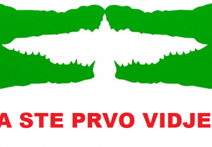 Šta ste vidjeli prvo PTICU ILI 2 KROKODILA? Evo šta to otkriva o vama!