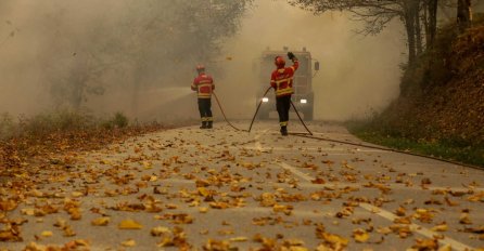 Portugal: 740 vatrogasaca gasi šumski požar na jugu zemlje