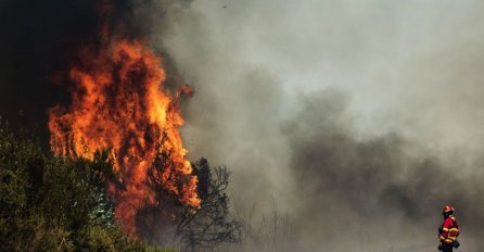 Portugal se bori s požarima i rekordnim temperaturama