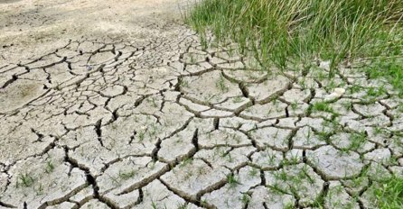 Najtoplije i najsušnije ljeto u posljednjih nekoliko godina pogodilo je Njemačku, temperature više od 40 stepeni