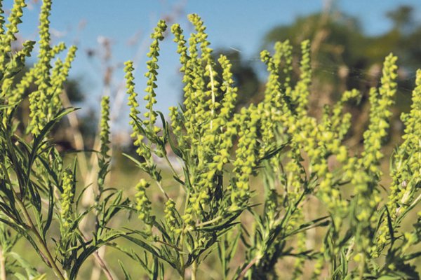 1281507-0803-shutter-ls