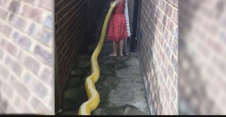 PITON JE KRENUO ZA DJEVOJČICOM, A KADA SE OKRENULA USLIJEDILO JE NEZAMISLIVO: "Ovo nikako nije normalno" 