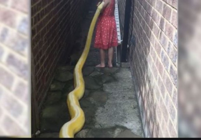 PITON JE KRENUO ZA DJEVOJČICOM, A KADA SE OKRENULA USLIJEDILO JE NEZAMISLIVO: "Ovo nikako nije normalno" 