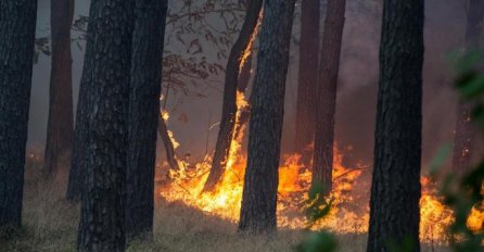 POŽAR LOKALIZOVAN: Na terenu su bila 33 vatrogasca, kanader..