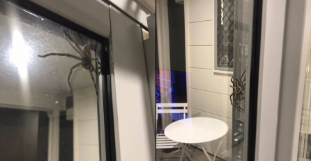 OKRENUO SE I UGLEDAO NAJSTRAŠNIJI PRIZOR U ŽIVOTU: "Noge su mi se odsjekle, NIŠTA SLIČNO U ŽIVOTU NISAM VIDIO" (VIDEO)