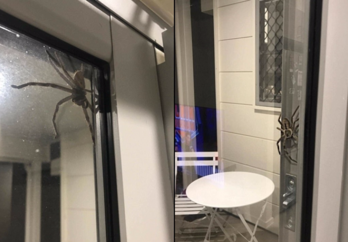 OKRENUO SE I UGLEDAO NAJSTRAŠNIJI PRIZOR U ŽIVOTU: "Noge su mi se odsjekle, NIŠTA SLIČNO U ŽIVOTU NISAM VIDIO" (VIDEO)