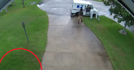 Nestao mu paket pa odlučio pogledati snimke nadzorne kamere: Ovakvog LOPOVA još niste vidjeli, NIŠTA VAM NEĆE BITI JASNO!e 