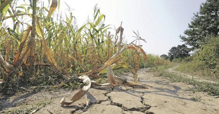 SRBIJU ČEKAJU SUŠE I POPLAVE, TEMPERATURE KAKVIH NIJE BILO MILION GODINA: Ali to nije ono najgore!