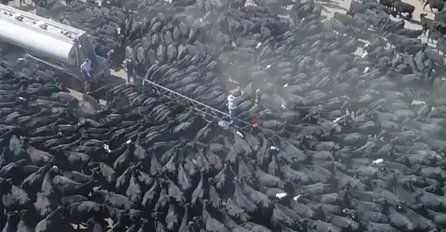 OBJAVLJENI SABLASNI PRIZORI, A STRAHUJE SE DA NAJGORE TEK DOLAZI: Ljudi mole za pomoć, cijeli svijet ovo treba vidjeti