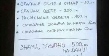 OVOJ MAMI IZ SRBIJE JE BILO DOSTA KUĆANSKIH POSLOVA: Odlučila je da sve to naplati, A SADA REGION BRUJI O NJOJ!