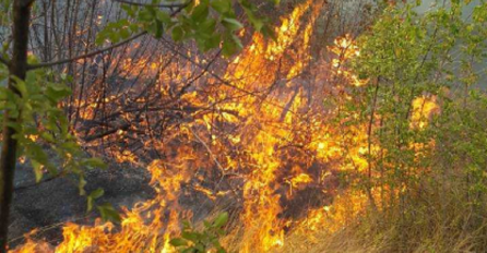 Požar kod Čitluka ugrozio četiri sela, vatra stavljena pod kontrolu