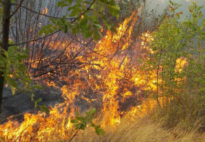 Požar kod Čitluka ugrozio četiri sela, vatra stavljena pod kontrolu