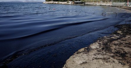 IZDATO UPOZORENJE NA POZNATOM LJETOVALIŠTU, TURISTI U STRAHU: "Ako je vidite, bježite što dalje" 