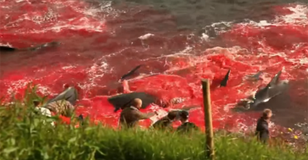 MORE SE ZACRVENILO, A ONDA SE ZAČUO  JEZIV ZVUK: Turisti su u strahu gledali šta se događa