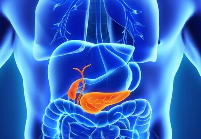 6 ZNAKOVA DA JE GUŠTERAČA U OZBILJNOJ OPASNOSTI: Ovo su najraniji simptomi akutne i hronične upale pankreasa!