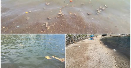 HOROR NA JADRANSKOJ OBALI DOBIO NASTAVAK: Stigli rezultati analize mora i KATASTROFALNI SU!
